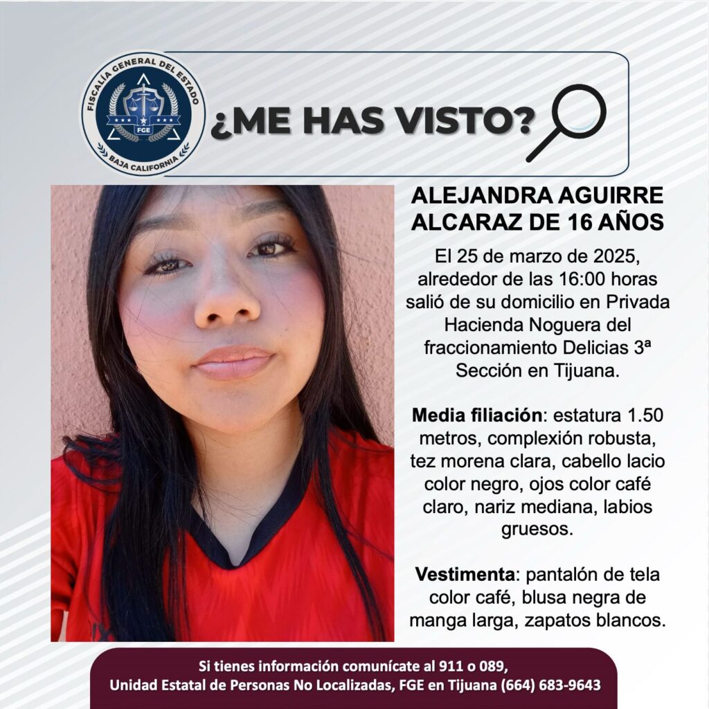 Pesquisa de Alejandra Aguirre Alcaraz de 16 años de edad