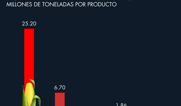 Programa Cosechando soberanía quedará corto; México tendrá que importar 54% del maíz que consumirá