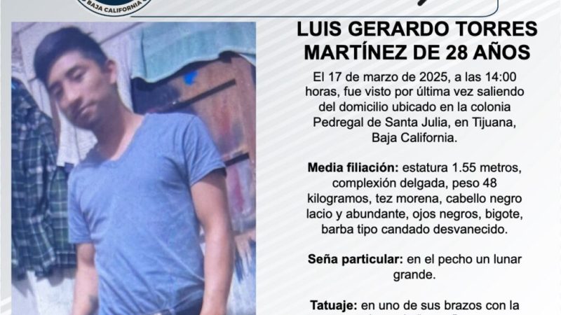 Pesquisa de Luis Gerardo Torres Martínez de 28 años de edad
