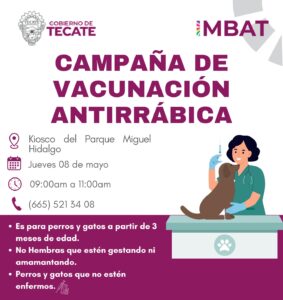 Gobierno de Tecate invita a la comunidad a participar en jornada gratuita de vacunación antirrábica