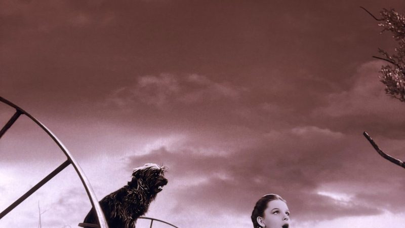 De 1939 a 2025, el Mago de Oz revivirá gracias a la IA