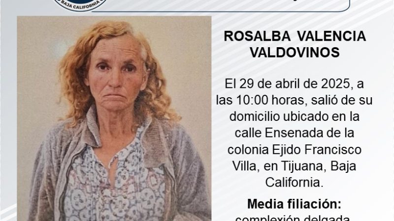 Pesquisa de Rosalba Valencia Valdovinos