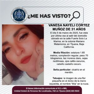 Pesquisa de Vanesa Nayeli Cortez Muñoz de 31 años