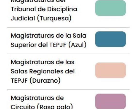 Elección Judicial 2025: 10 preguntas frecuentes que responde el INE sobre el proceso
