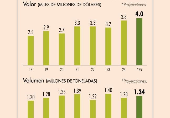 Exportaciones de aguacate mexicano anotarán récord de 4,000 mdd este 2025