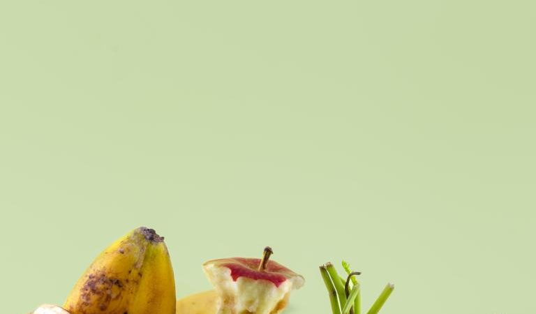 México tira 13 millones de toneladas de comida al año