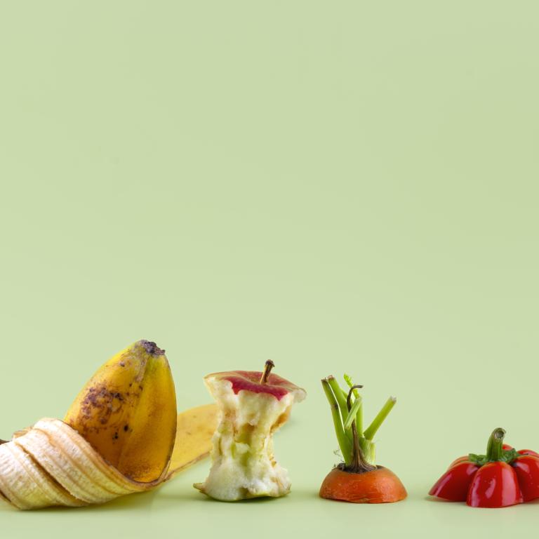 México tira 13 millones de toneladas de comida al año