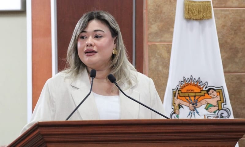 Aprueba Congreso dictamen de la Comisión de Bienestar en Pro de los Derechos de las Personas con Discapacidad