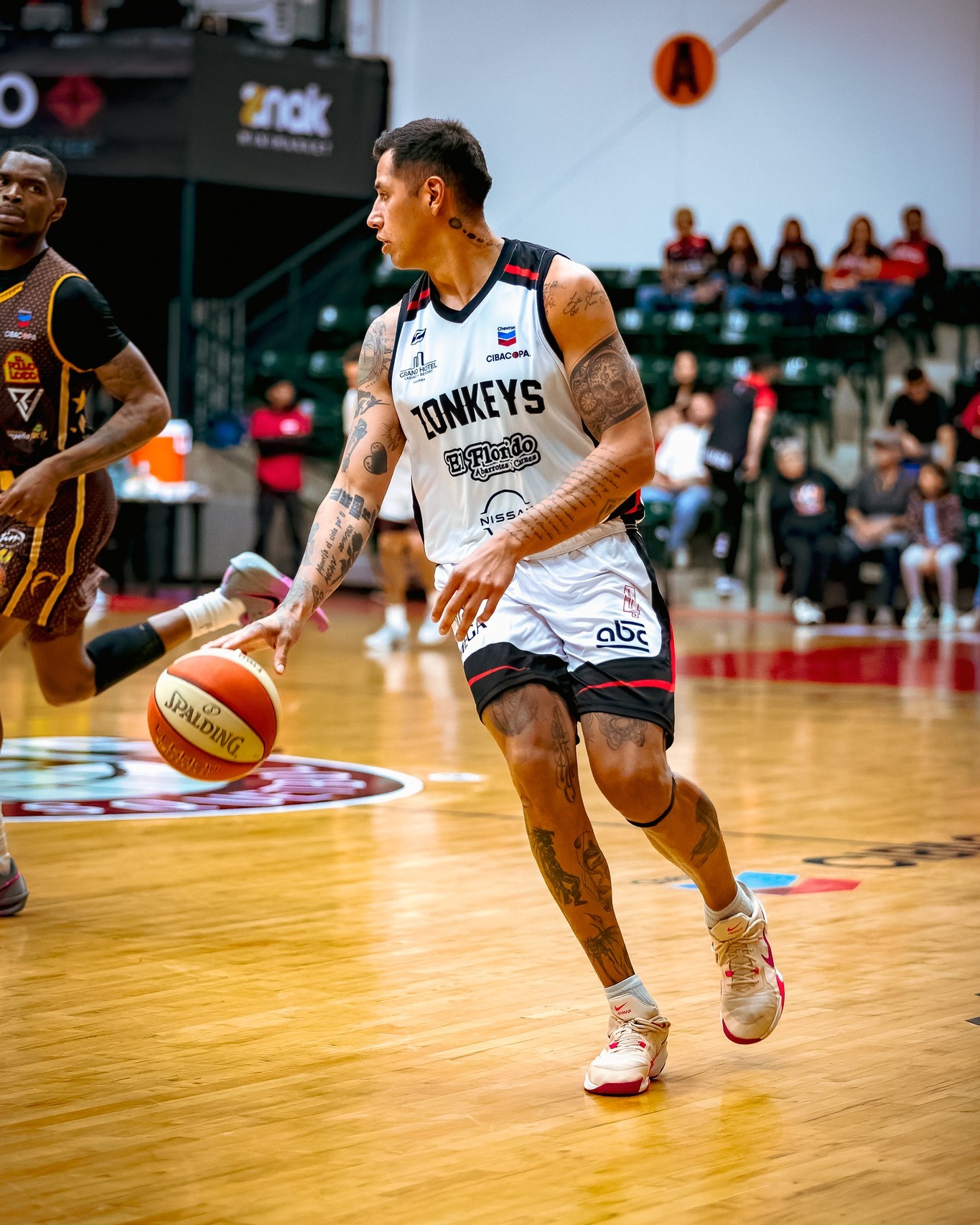 Zonkeys reciben a Ángeles de CDMX en serie clave rumbo a playoffs