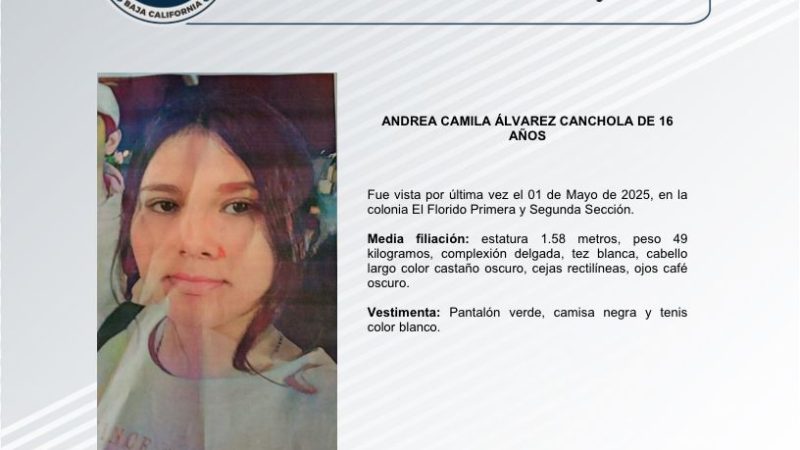 Pesquisa de Andrea Camila Álvares Canchola de 16 años de edad