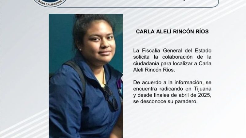 Pesquisa de Carla Alelí Rincon Ríos