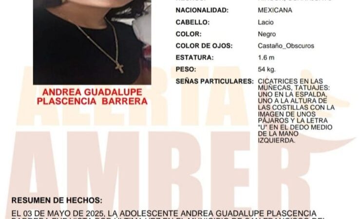 Alerta Amber de Andrea Guadalupe Plascencia Barrera de 15 años de edad