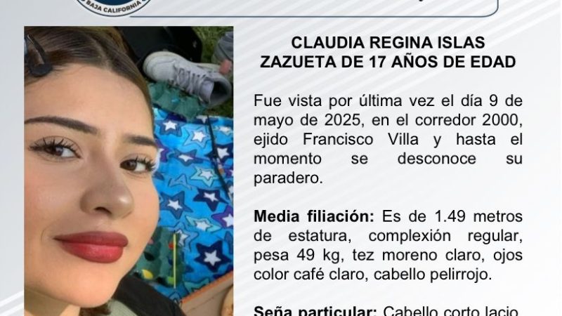 Pesquisa de Claudia Regina Islas Zazueta de 17 años de edad