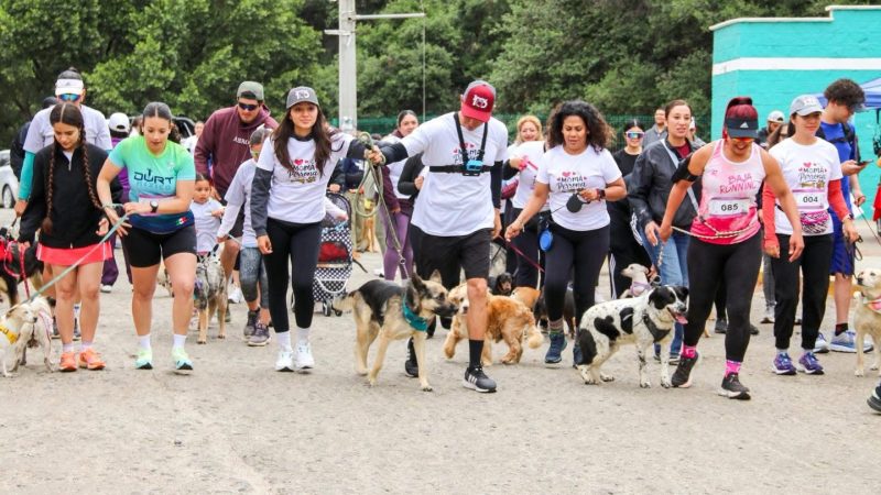 Gobierno de Tecate realiza con gran éxito la Carrera «Mamá Perrona»