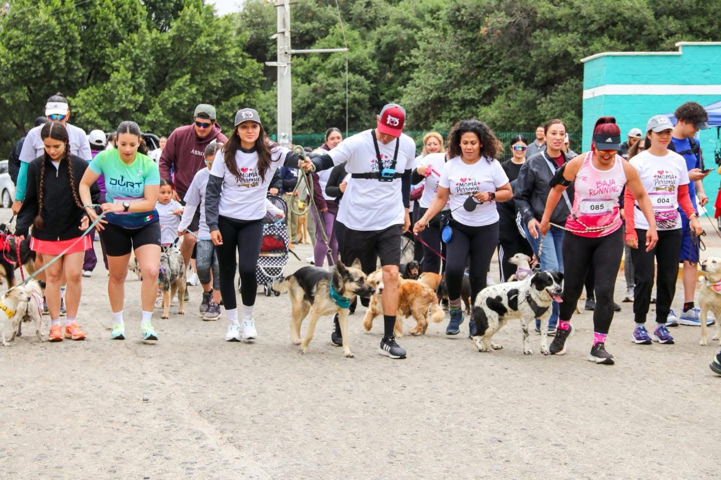 Gobierno de Tecate realiza con gran éxito la Carrera «Mamá Perrona»