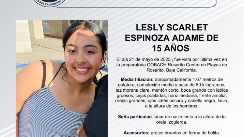 Pesquisa de Lesly Scarlet Espinoza Adame de 15 años de edad