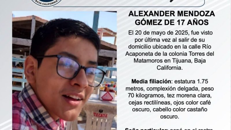 Pesquisa de Alexander Mendoza Gómez de 17 años de edad
