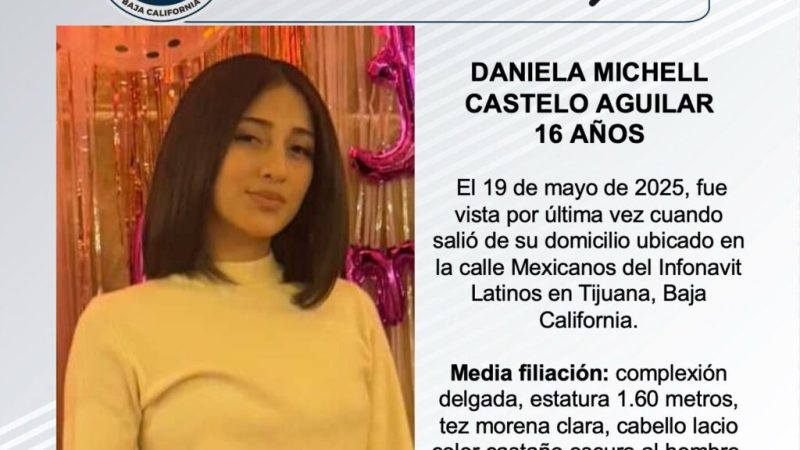 Pesquisa de Daniela Michell Castelo Aguilar de 16 años de edad