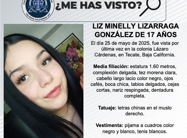 Pesquisa de Liz Minelly Lizarraga González de 17 años de edad