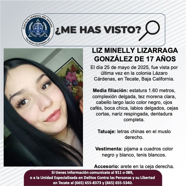 Pesquisa de Liz Minelly Lizarraga González de 17 años de edad