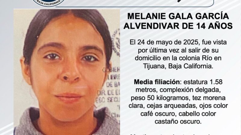 Pesquisa de Melanie Gala García Alvendidar de 14 años de edad
