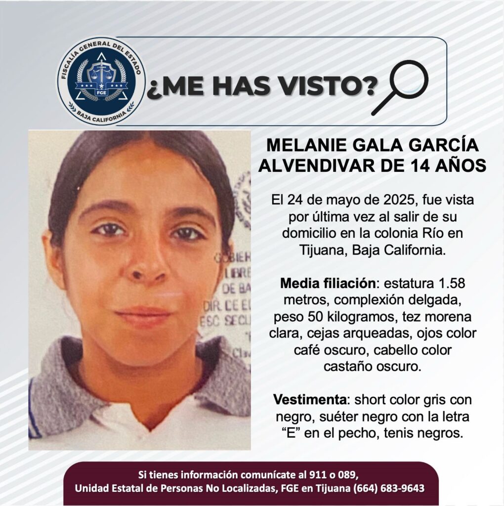 Pesquisa de Melanie Gala García Alvendidar de 14 años de edad
