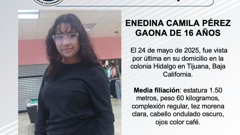 Pesquisa de Enedina Camila Pérez Gaona de 16 años de edad