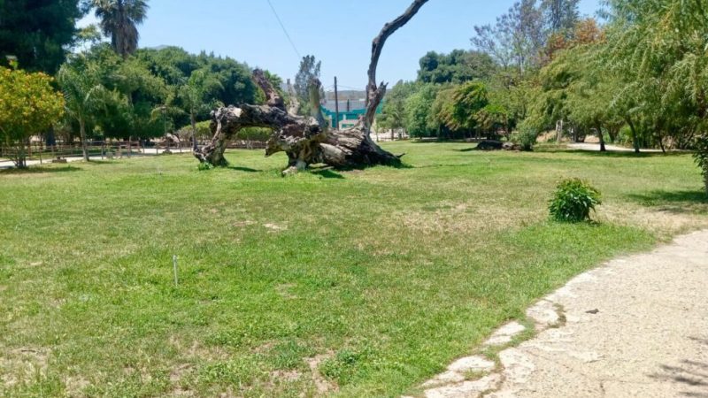Parque Los Encinos más limpio, seguro y sustentable