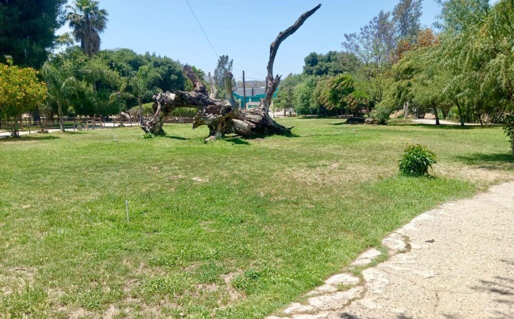 Parque Los Encinos más limpio, seguro y sustentable
