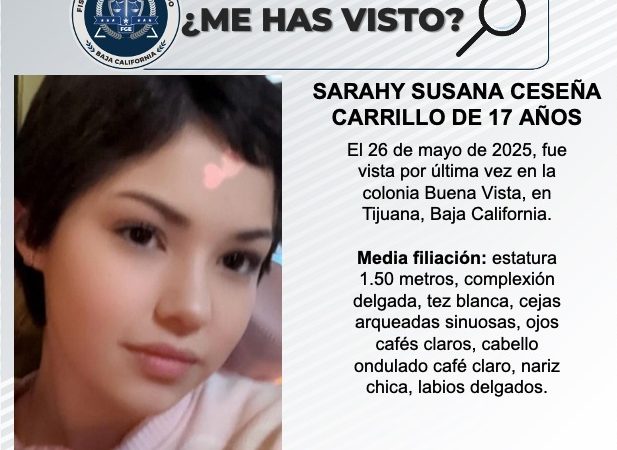 Pesquisa de Sarahy Susana Ceseña Carrillo de 17 años de edad