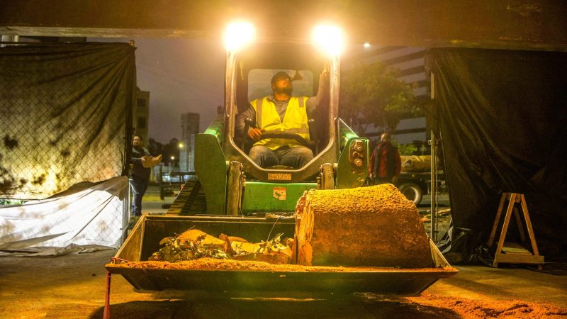 FGE ejecuta el primer cateo por delito ambiental en Baja California
