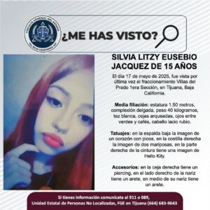 Pesquisa de Silvia Litzy Eusebio Jacquez de 15 años