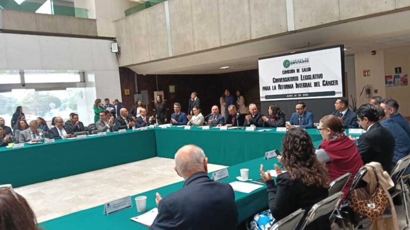 Hizo entrega a la Comisión de Salud del Congreso una propuesta para la mejora en la atención de pacientes oncológicos