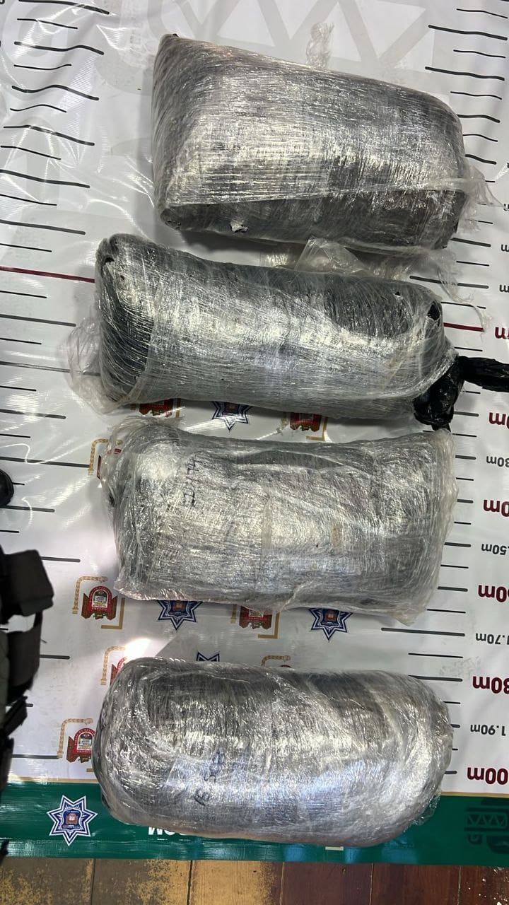 Decomisa Policía Municipal casi 83 kilogramos de marihuana en coordinación con corporación federal