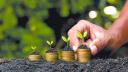 Día Mundial del Medio Ambiente 2025: La sostenibilidad como ventaja competitiva para las pymes