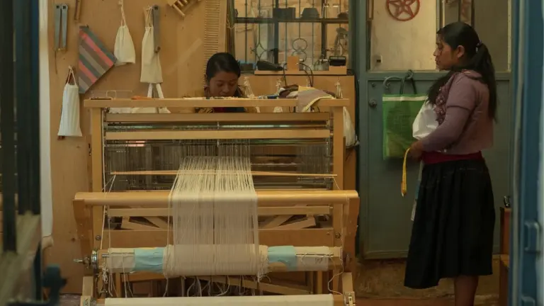 El emprendimiento que impulsa el comercio justo para artesanos a partir de productos para mascotas