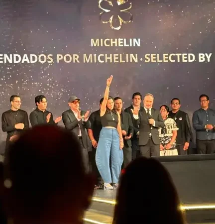 Guía Michelin 2025: ¿Qué restaurantes obtuvieron las tan anheladas estrellas?