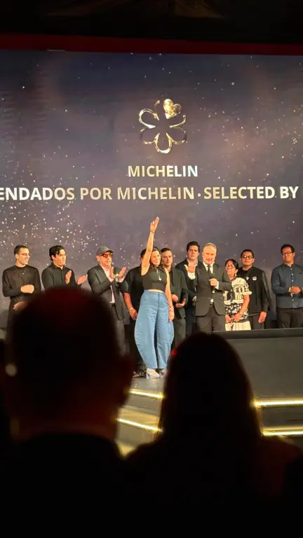 Guía Michelin 2025: ¿Qué restaurantes obtuvieron las tan anheladas estrellas?
