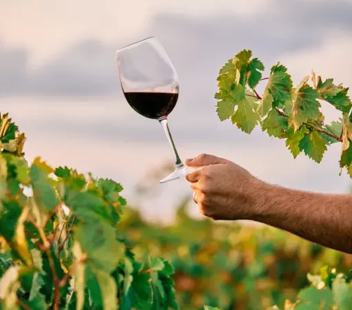 Chile quiere conquistar México con sus vinos de alta gama