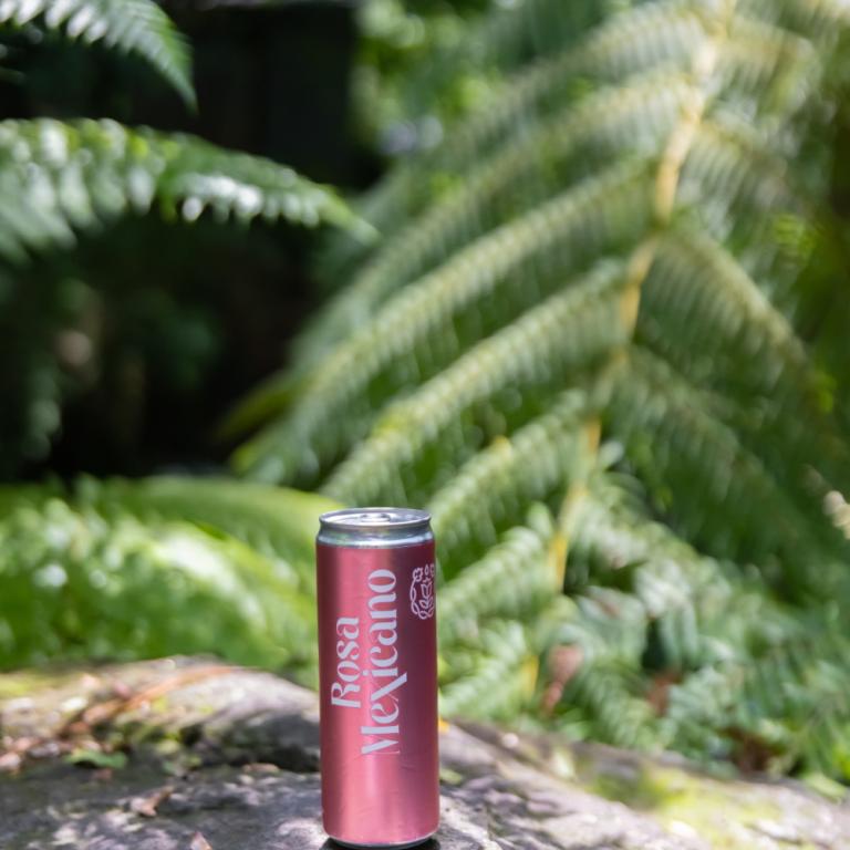 Monte Xanic lanza su primer Syrah 100% orgánico con apenas 200 cajas