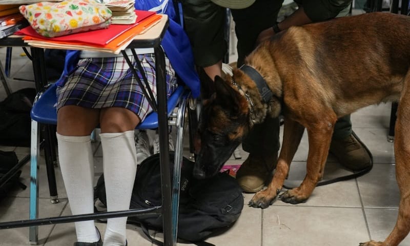 Beneficia SSPCM a casi 600 alumnos con el programa “Inspección de Pertenencias”