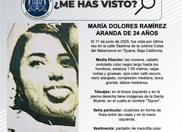 Pesquisa de María Dolores Ramírez Aranda de 24 años