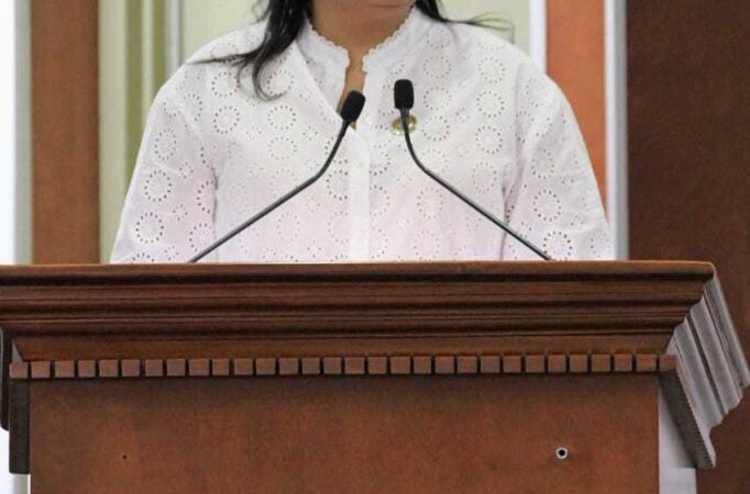 Aprueban adicionar la modalidad de Violencia Patrimonial a ley de Atención y Prevención de la Violencia Familiar