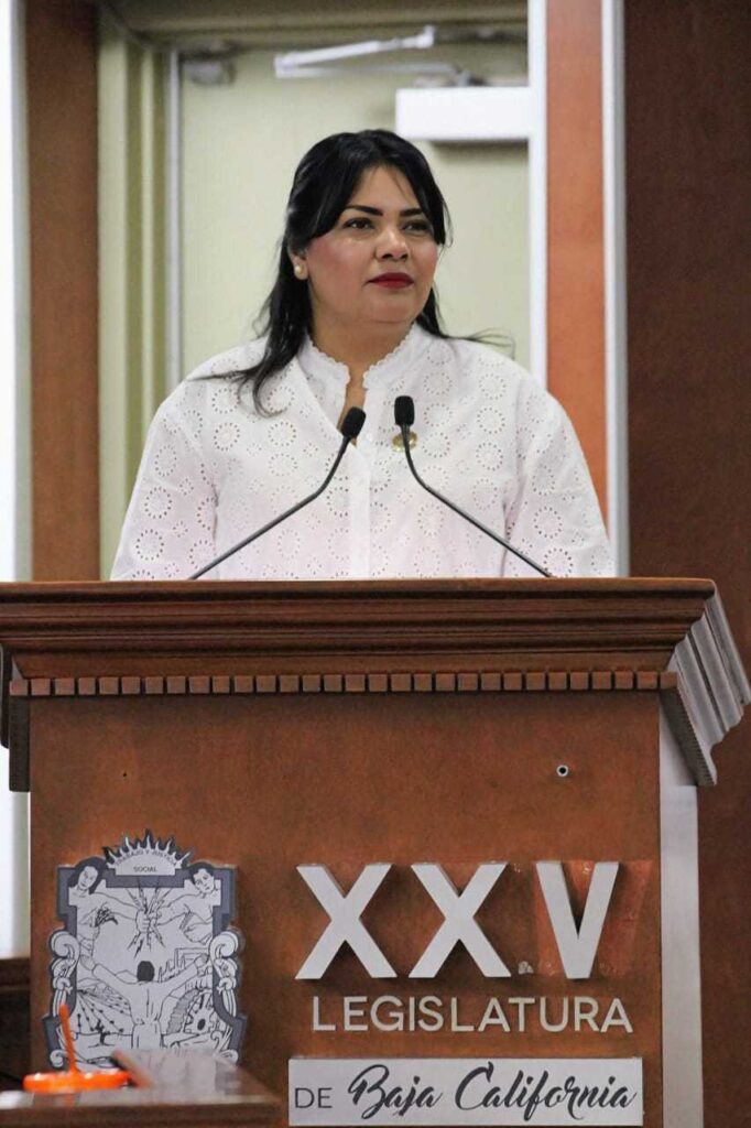Aprueban adicionar la modalidad de Violencia Patrimonial a ley de Atención y Prevención de la Violencia Familiar