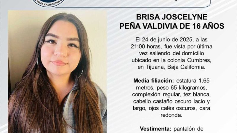 Pesquisa de Brisa Joscelyne Peña Valdivia de 16 años de edad