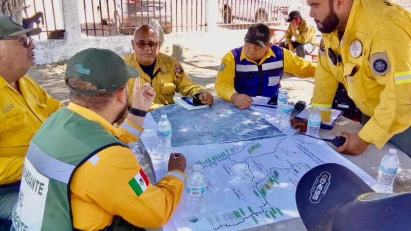 Actualización sobre Incendio Forestal en La Rumorosa