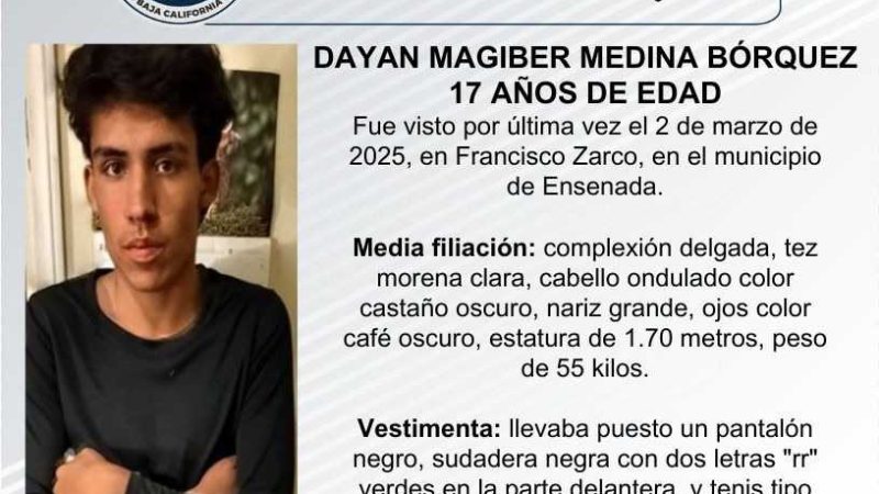 Pesquisa de Dayan Magiber Medina Bórquez, de 17 años de edad