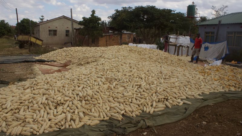 Zambia, el primer país africano en quebrar y el símbolo de la crisis de deuda postcovid: “Por favor, cancelen las deudas para que el Gobierno pueda invertir en agricultura y salud”