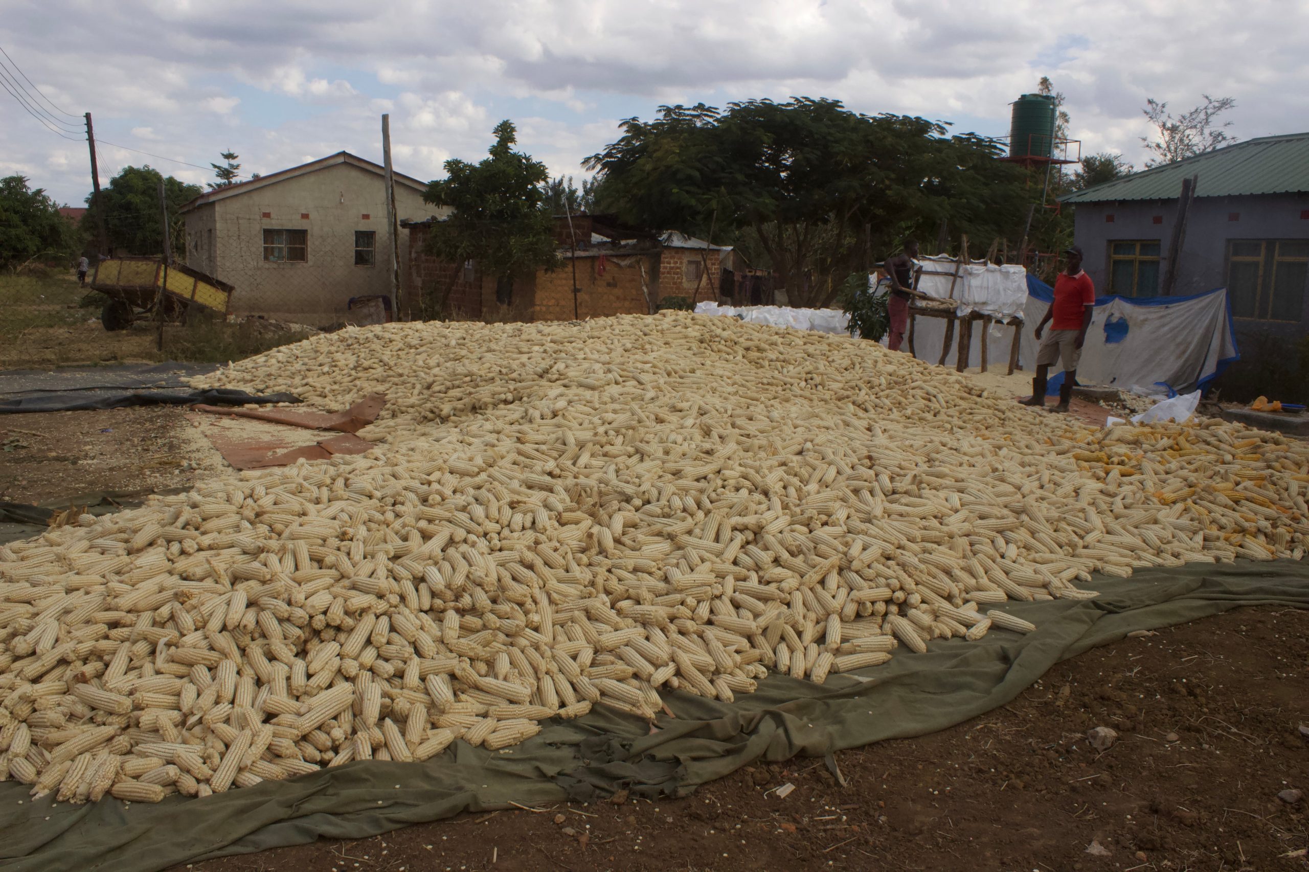 Zambia, el primer país africano en quebrar y el símbolo de la crisis de deuda postcovid: “Por favor, cancelen las deudas para que el Gobierno pueda invertir en agricultura y salud”