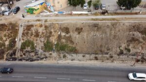 Desplaza jardinería comercial a la flora nativa en Tijuana